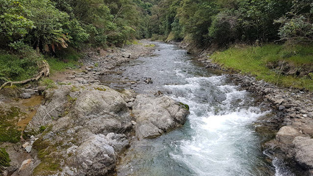 Rangitaiki River