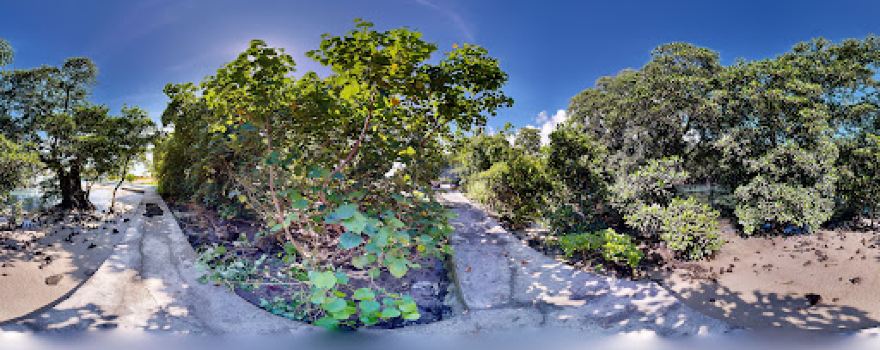 Asaga River Pool and Beach Fale