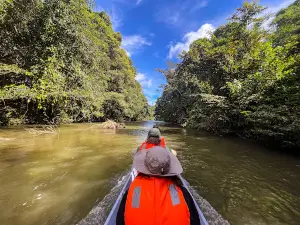 Mulu Nationalpark Eingang