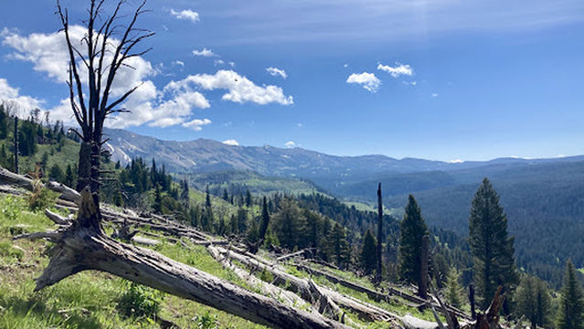 CABIN CREEK CAMPGROUND
