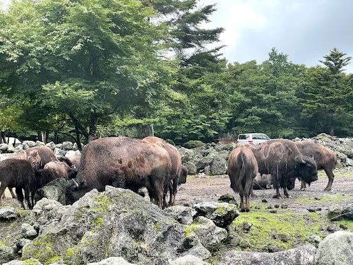 富士サファリパーク 料金所