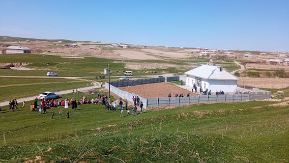 Qizilg‘osh