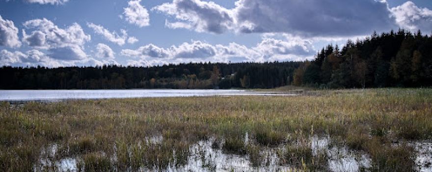Rybník Sykovec