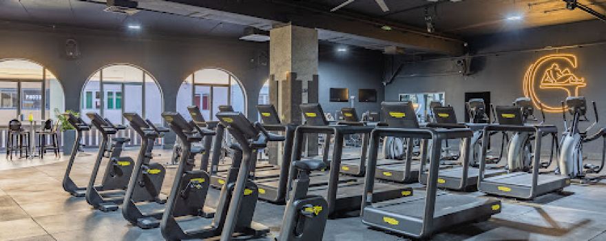 Gymnasia