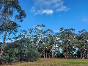 Dru Point Bicentennial Park