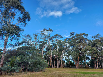 Dru Point Bicentennial Park