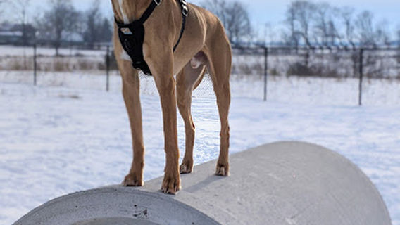 Clearview EcoBark Dog Park