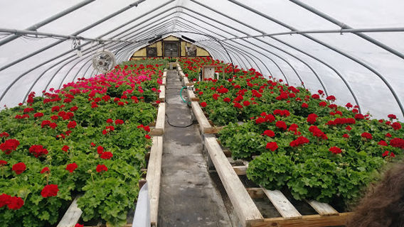 Duplin Nursery & Garden Center