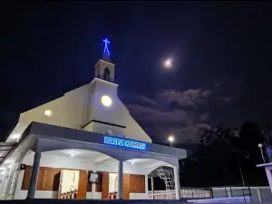 Bualpui Presbyterian Church