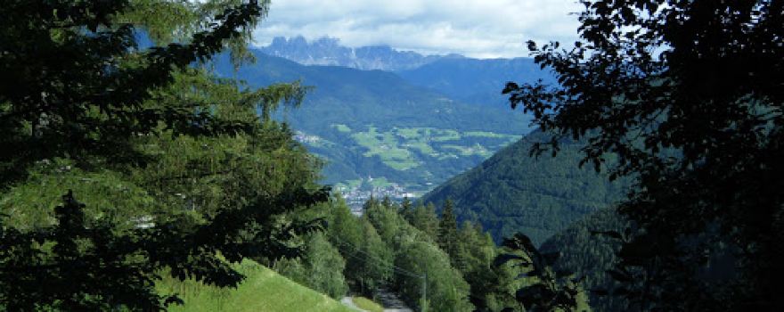 Wald Garten Maschinen