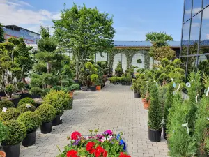Gartencenter Zimmermann GmbH