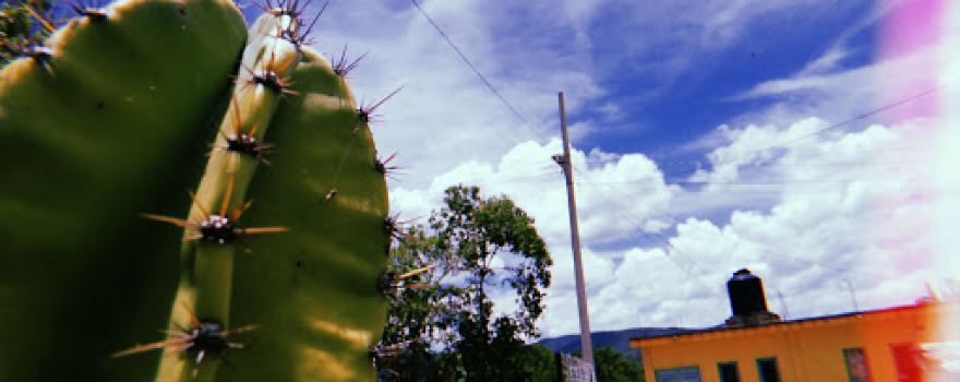 Barrio de Guadalupe Park