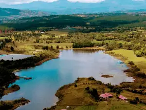 Humedal Lago El Bolsón