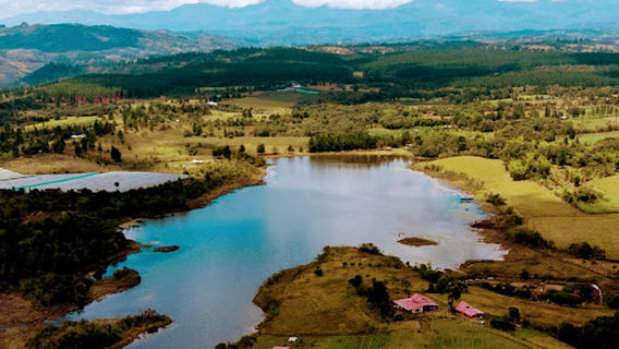 Humedal Lago El Bolsón