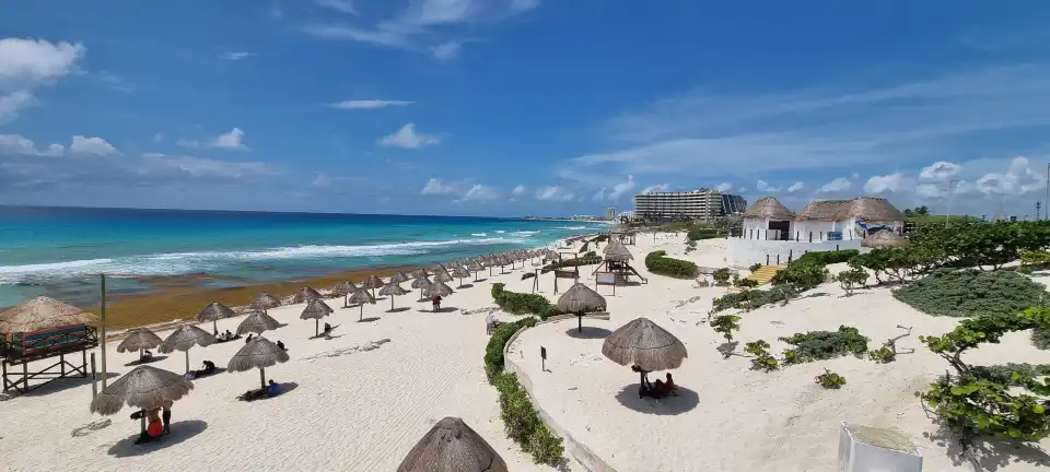 4_Dolphins Beach