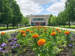 Royal Saskatchewan Museum