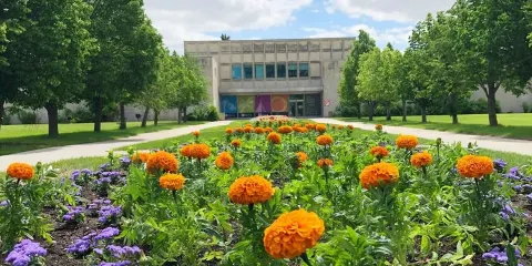 皇家薩斯喀徹溫自然歷史博物館