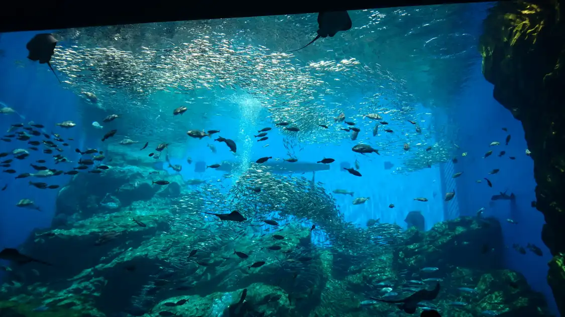 Hotels near Sendai Umino-Mori Aquarium