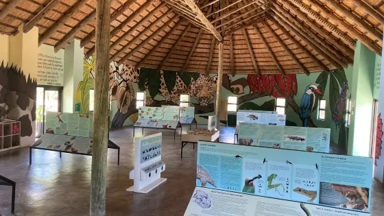 盧薩卡國家公園