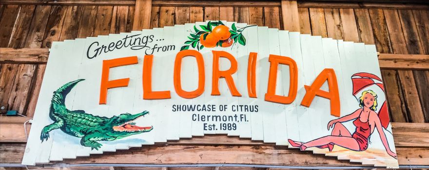 Showcase of Citrus