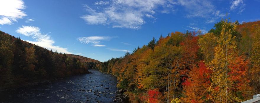 Oswegatchie