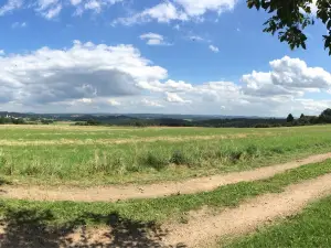 Landal Wirfttal