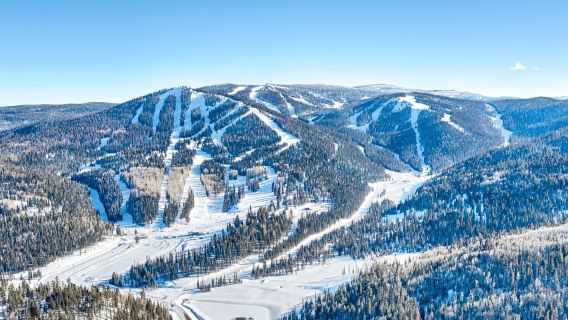 Sunrise Park Resort