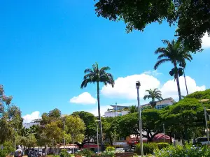 Place des Cocotiers