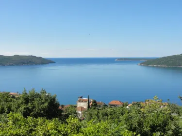 Zelenika
