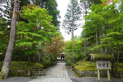 Koyasan Reihokan Museum