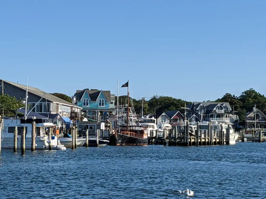Hotels near Mass Audubon's Felix Neck Wildlife Sanctuary