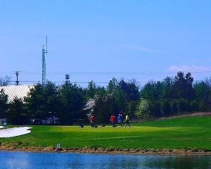 香港-杜勒斯 機票酒店 自由行