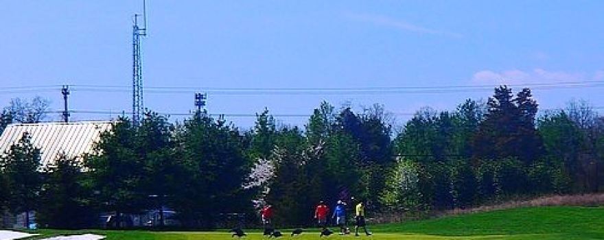 South Riding Golf Club