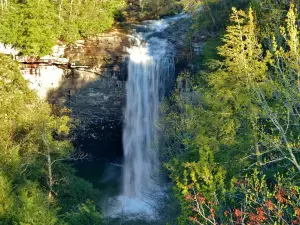 Foster Falls