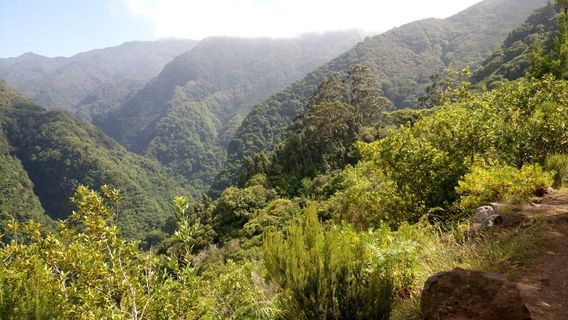 Levada Ribeira de Janela