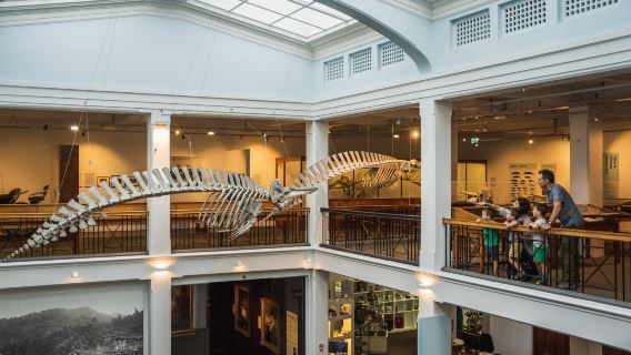 Whanganui Regional Museum