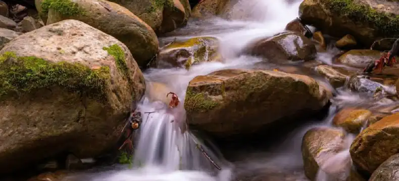 聖克拉拉縣酒店