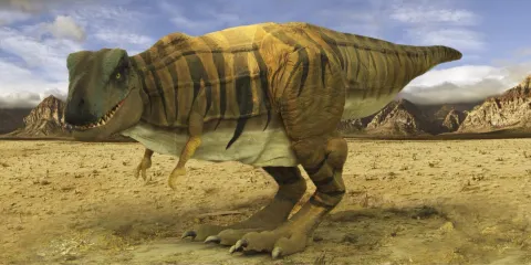 Museu de Zoologia Prof.ª Morgana Cirimbelli Gaidzinki da Unesc