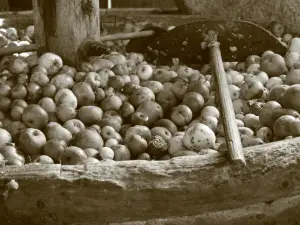 La Ferme d'Hotte