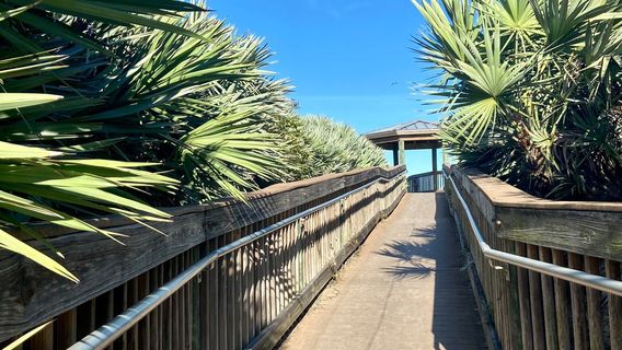 Ponce Inlet Preserve