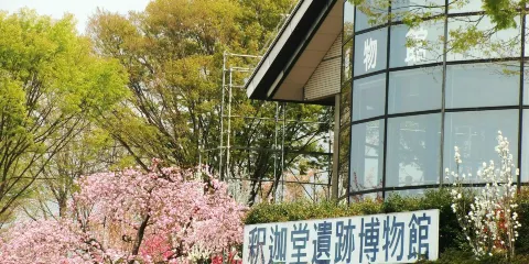 釈迦堂遺跡博物館
