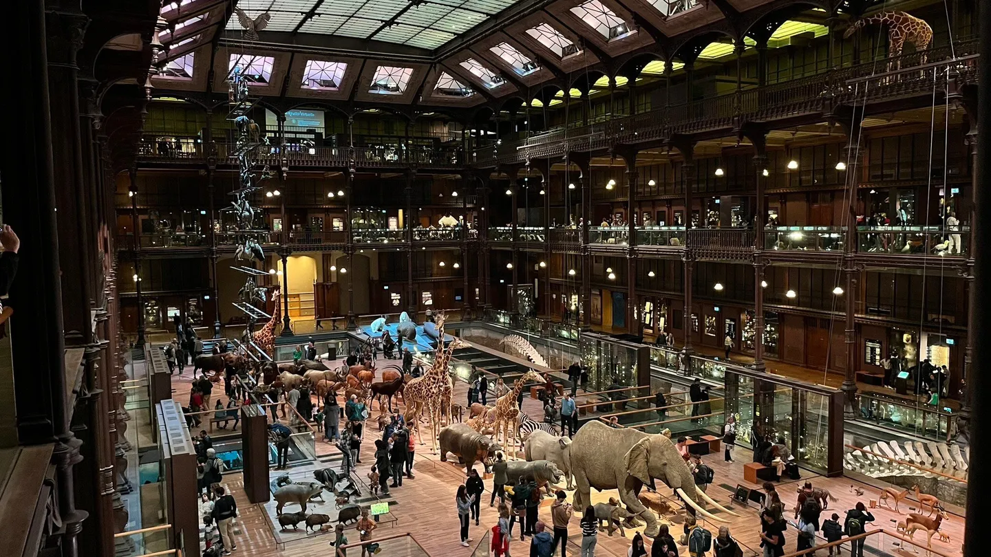 2_Grande Galerie de l'Evolution