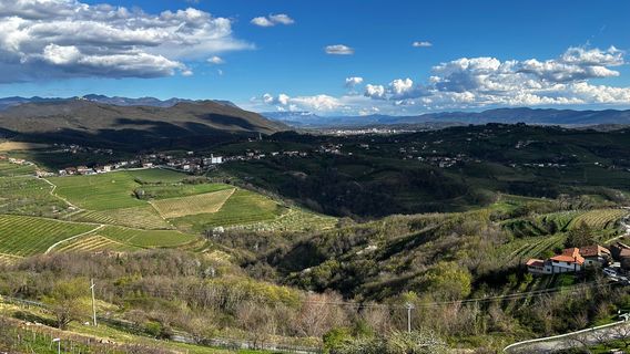Gonjače Lookout Tower