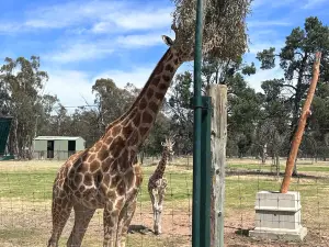 Altina Wildlife Park