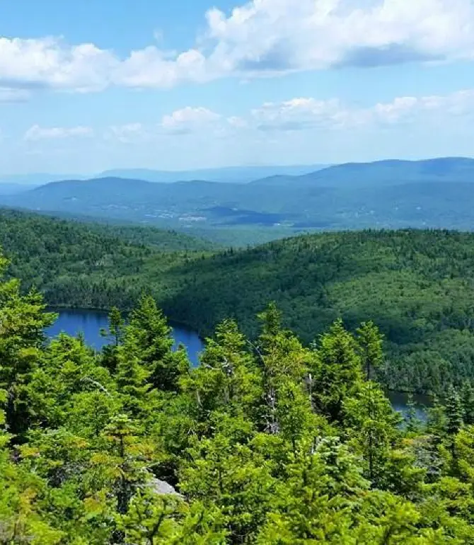 West Dover