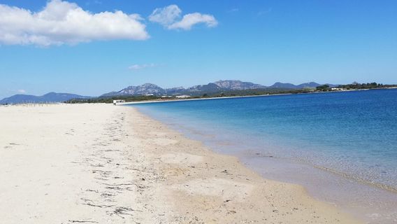 Olbia