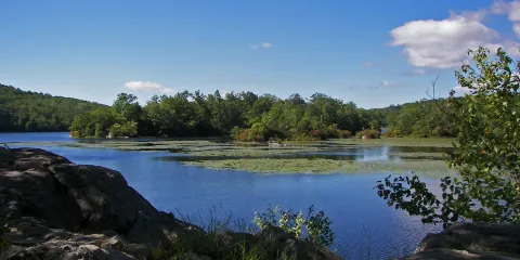 Ramapo Mountain State Forest