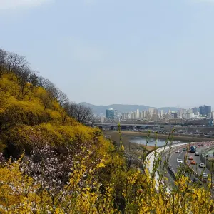 鷹峯山