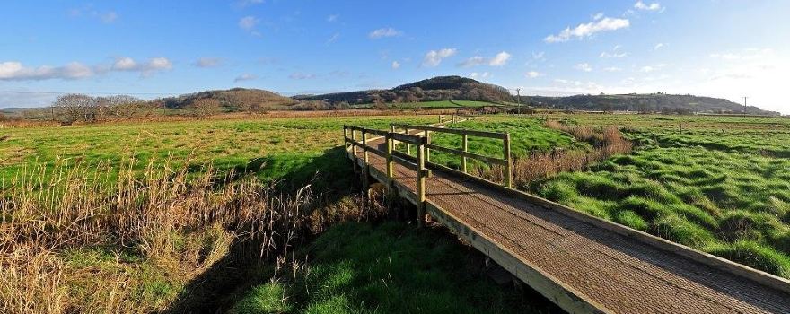 Seaton Wetlands