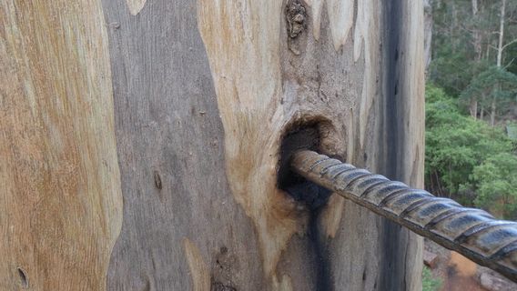 Warren National Park